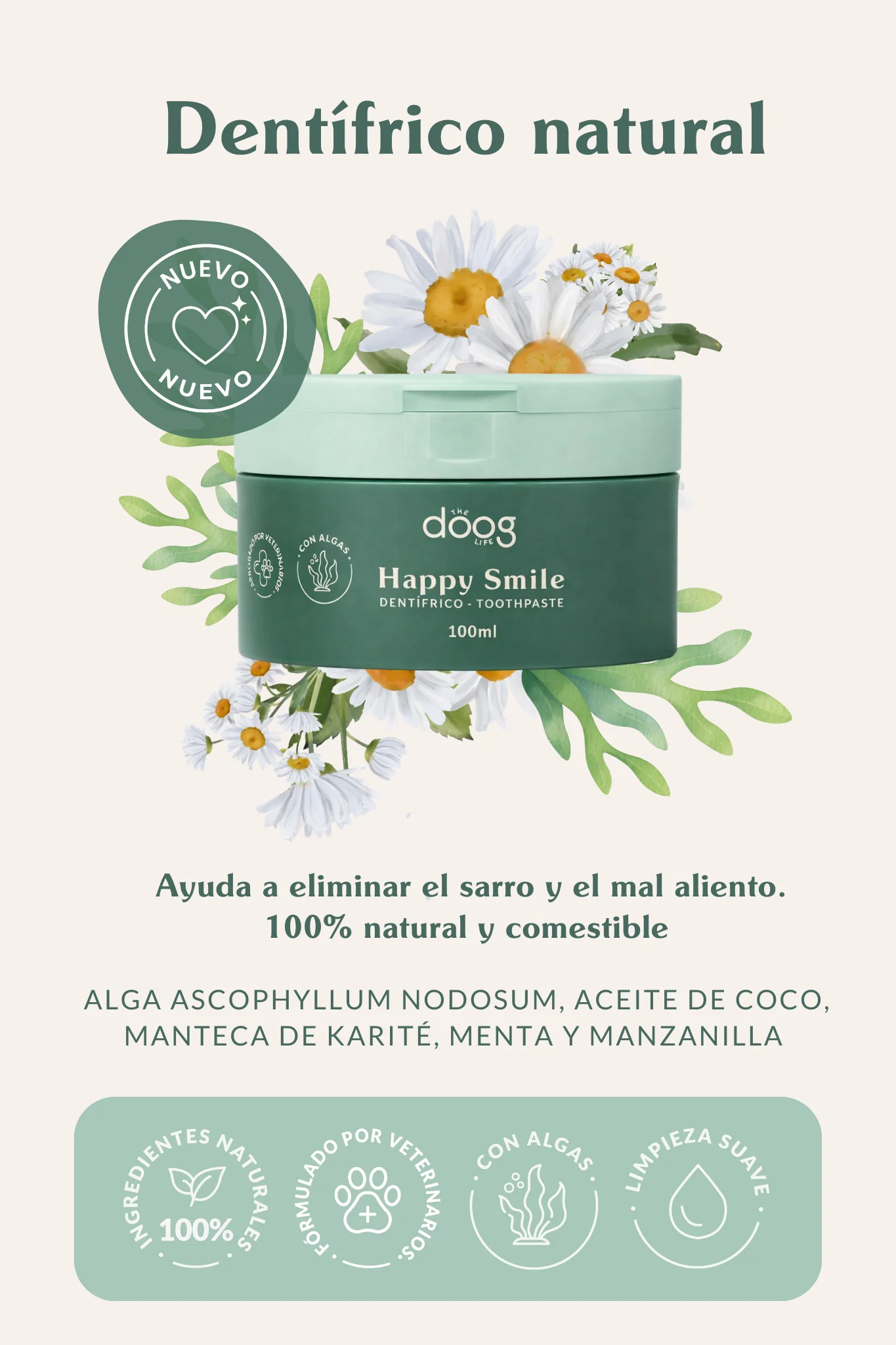 Novedades